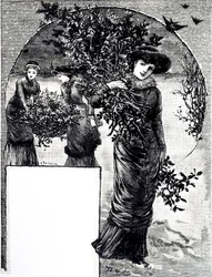 Kaiverrus, joka kuvaa hollyn ja ikivihreän kokoelman joulukoristeita. Kuvittanut Mary Ellen Edwards (1838-1934), englantilainen taiteilija ja lastenkirjojen kuvittaja