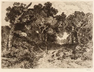 Veden toisella puolella