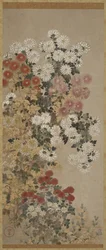 Krysanteemit, Riippuva rulla (asennettu paneeliin), 1600-30 (väri paperilla)