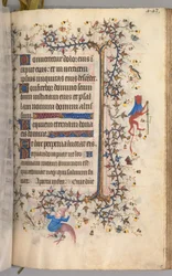 Navarran kuninkaan Kaarle Aatelisen (1361-1425) tunnit: fol. 216r, teksti