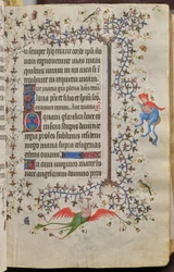 Navarran kuninkaan Kaarle Aatelisen (1361-1425) tunnit: fol. 31r, teksti