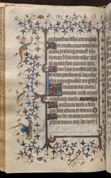 Navarran kuninkaan Kaarle Aatelisen (1361-1425) tunnit: fol. 75v, teksti