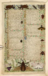 Lisätä. 28841, f.4v: Koit ja sarvikuoriaiset, tutkielmasta hyveistä ja paheista ja nimettömästä Sisilian proosahistoriasta (fragmentti), n. 1330-40 (vellum)