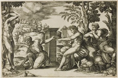 Apollo ja Marsyas