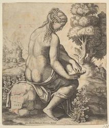 Venus poistaa piikkia jalaltaan, 1532.