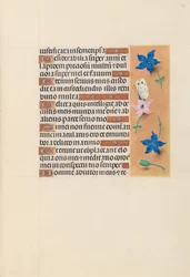 Kuningatar Isabella Katolisen, Espanjan kuningatar: Fol. 102r, c. 1500.