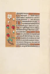 Kuningatar Isabella Katolisen, Espanjan kuningatar: Fol. 102v, c. 1500.