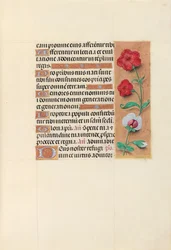 Kuningatar Isabella Katolisen, Espanjan kuningatar: Fol. 105r, c. 1500.