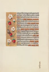 Kuningatar Isabella Katolisen, Espanjan kuningatar: Fol. 106v, c. 1500.