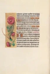 Kuningatar Isabella Katolisen, Espanjan kuningatar: Fol. 110v, c. 1500.