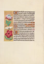 Kuningatar Isabella Katolisen, Espanjan kuningatar: Fol. 129v, c. 1500.