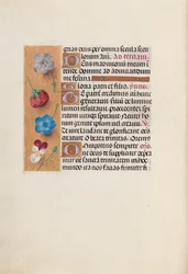 Kuningatar Isabella Katolisen, Espanjan kuningatar: Fol. 19v, c. 1500.