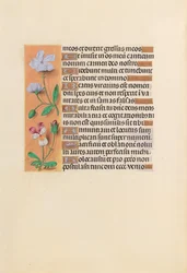 Kuningatar Isabella Katolisen, Espanjan kuningatar: Fol. 239v, c. 1500.