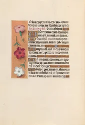 Kuningatar Isabella Katolisen, Espanjan kuningatar: Fol. 246v, c. 1500.