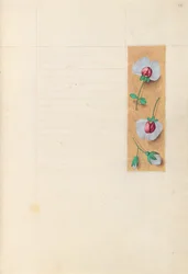 Kuningatar Isabella Katolisen, Espanjan kuningatar: Fol. 279r, c. 1500.
