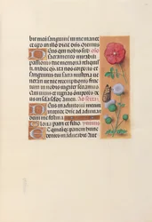 Kuningatar Isabella Katolisen, Espanjan kuningatar: Fol. 46r, c. 1500.