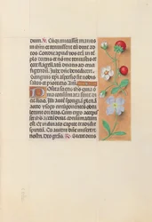 Kuningatar Isabella Katolisen, Espanjan kuningatar: Fol. 55r, c. 1500.