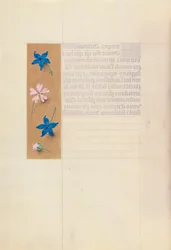 Kuningatar Isabella Katolisen, Espanjan kuningatar: Fol. 65v, c. 1500.