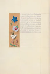 Kuningatar Isabella Katolisen, Espanjan kuningatar: Fol. 71v, c. 1500.