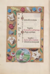 Kuningatar Isabella Katolisen, Espanjan kuningatar: Fol. 7v, kesäkuu, c. 1500.
