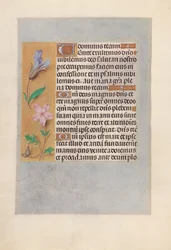 Kuningatar Isabella Katolisen, Espanjan kuningatar: Fol. 98v, c. 1500.