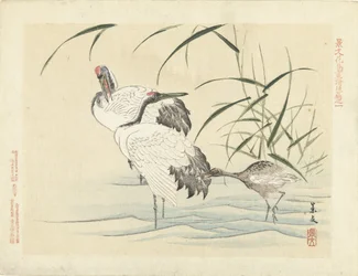 Kaksi nosturia nuorten kanssa Kukka- ja lintuluonnoksia Keibunista - kolmas osa (sarjan nimi) Keibun kacho gafu kohen (sarjan nimi esineessä)