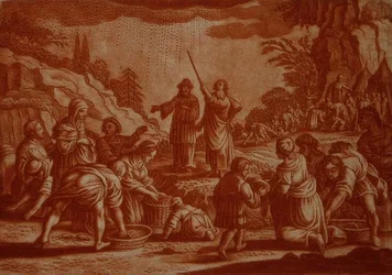Israelilaiset keräämässä mannaa, kuvitus Raamatusta, kaiverrus Gabriel Bodeneer (1673-1766) (seepiakaiverrus)