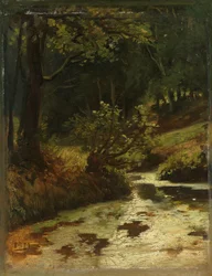 Brook in the Woods lähellä Oosterbeekiä Puro metsässä lähellä Oosterbeekiä