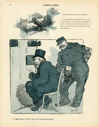 Voilautanen, numero 411, satiirinen väri