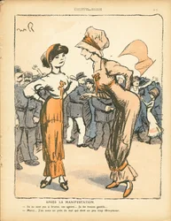 Voilautanen, numero 494, satiirinen väri