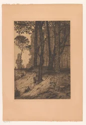 metsän reuna