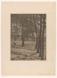 Dennenbosch I (alkuperäinen nimi esineessä) Bos (alkuperäinen nimi)
