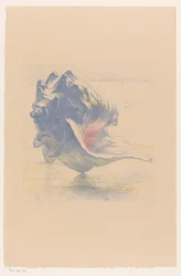 Kuori