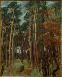 Hermsdorfer Wald harmaana päivänä