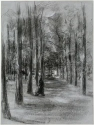 Puistokuja Larenissa