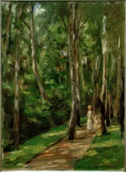 Birkenweg Wannsee nach Westenissä
