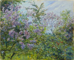 Kukkiva syreeni