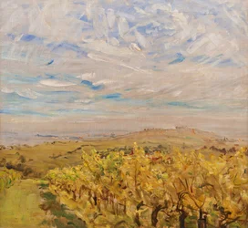 Varhaissyksy Pfalzissa. Viinitarhoja Neukastelin lähellä, 1927