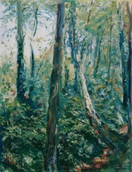 metsäpolku