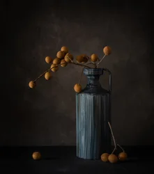Longan-asetelma