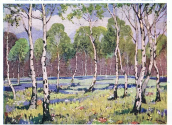 Spring Woodland (väri litho)
