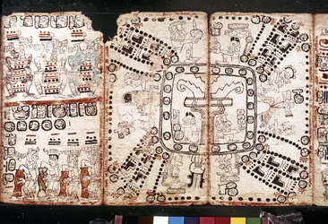MAYA SIVISTYSTOIMINTA: Codex Tro-Cortesiano, 1400-luvun puoliväli (kuori-kasvikuitu).
