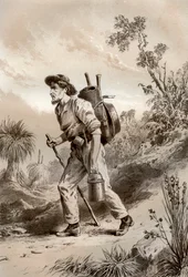 Kaivaja kulkurilla, Australia, 1879.