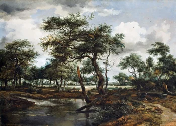 Lampi metsässä, 1668 (öljy tammilevylle)