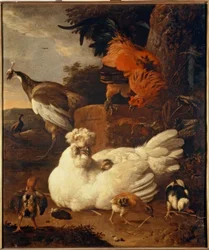 M. de Hondecoeter, Glucke mit Küken