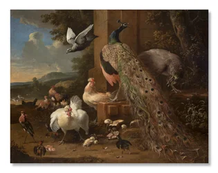 Eläinkokoelma, noin 1680