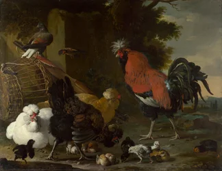 ”Kukko, kanat ja poikaset”, n. 1668-1670, 85,5 x 110 cm, National Gallery, Lontoo