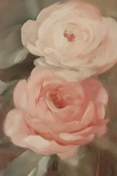 Blush Rose -maalaus