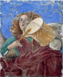 Melozzo da Forlin muusikkoenkeli, n. 1480 (fresko)