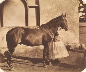 Sulttaani, 1850-luvun puoliväli.